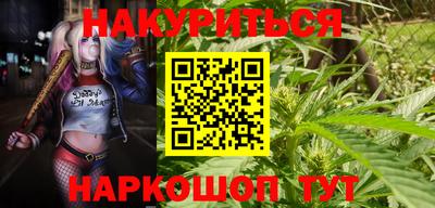 крисы Вышний Волочёк