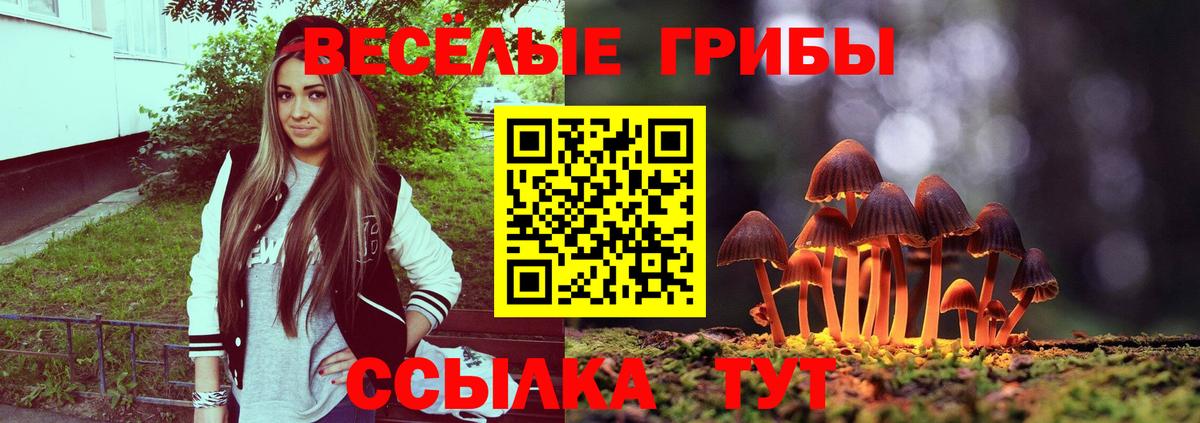 Котельники  продажа наркотиков  Галлюциногенные грибы мицелий  Вход с VPN  Галлюциногенные грибы GOLDEN TEACHER 